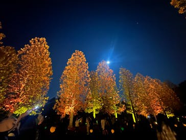 NAKED 紅葉の新宿御苑2023に投稿された画像（2023/11/27）