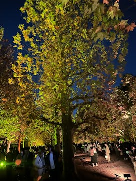 NAKED 紅葉の新宿御苑2023に投稿された画像（2023/11/27）