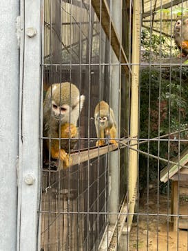淡路ファームパーク イングランドの丘に投稿された画像（2023/11/27）