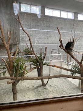 淡路ファームパーク イングランドの丘に投稿された画像（2023/11/27）