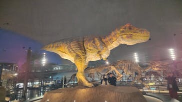 福井県立恐竜博物館に投稿された画像（2023/11/27）