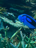 名古屋港水族館に投稿された画像（2023/11/27）