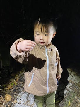 宮古島 ADVENTURE PiPi（ミヤコジマ アドベンチャー ピピ）に投稿された画像（2023/11/27）