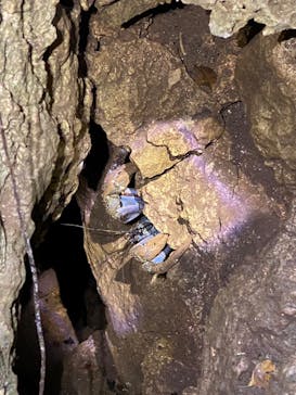 宮古島 ADVENTURE PiPi（ミヤコジマ アドベンチャー ピピ）に投稿された画像（2023/11/27）