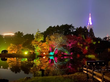 NAKED 紅葉の新宿御苑2023に投稿された画像（2023/11/27）