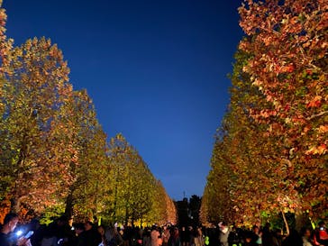 NAKED 紅葉の新宿御苑2023に投稿された画像（2023/11/27）