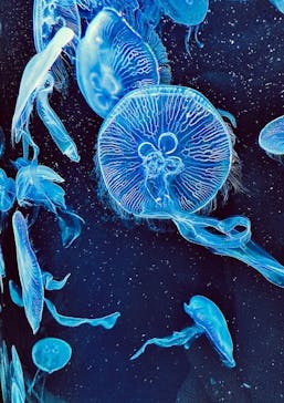 AOAO SAPPOROに投稿された画像（2023/11/27）