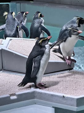 AOAO SAPPOROに投稿された画像（2023/11/27）