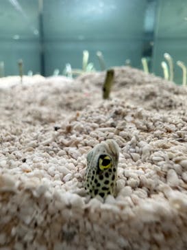 AOAO SAPPOROに投稿された画像（2023/11/27）