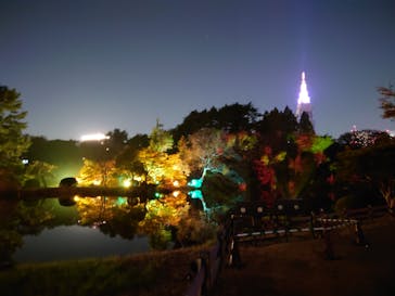 NAKED 紅葉の新宿御苑2023に投稿された画像（2023/11/27）