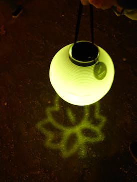 NAKED 紅葉の新宿御苑2023に投稿された画像（2023/11/27）