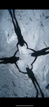 宮古島 ADVENTURE PiPi（ミヤコジマ アドベンチャー ピピ）に投稿された画像（2023/11/27）