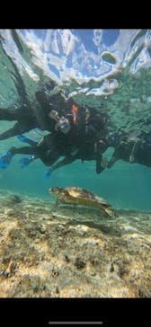 宮古島 ADVENTURE PiPi（ミヤコジマ アドベンチャー ピピ）に投稿された画像（2023/11/27）