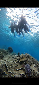 宮古島 ADVENTURE PiPi（ミヤコジマ アドベンチャー ピピ）に投稿された画像（2023/11/27）