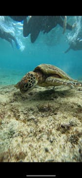 宮古島 ADVENTURE PiPi（ミヤコジマ アドベンチャー ピピ）に投稿された画像（2023/11/27）