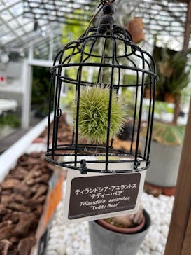 名古屋市東山動植物園に投稿された画像（2023/11/27）
