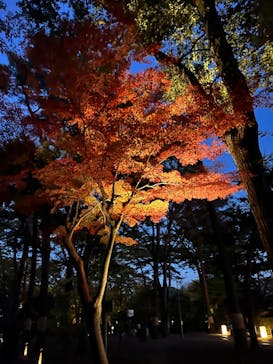 江戸東京たてもの園に投稿された画像（2023/11/27）