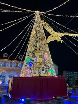 フェスタ・ルーチェに投稿された画像（2023/11/27）