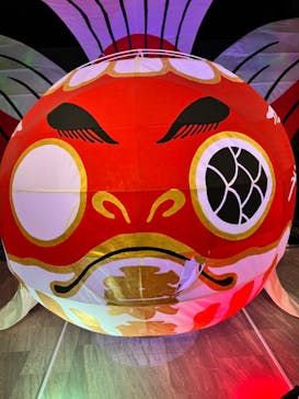 NARA KINGYO MUSEUMに投稿された画像（2023/11/27）