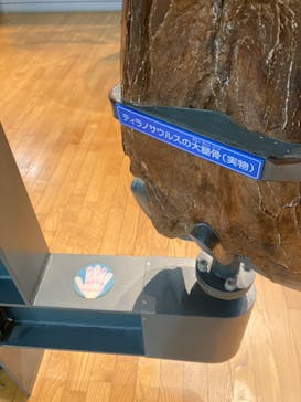 福井県立恐竜博物館に投稿された画像（2023/11/27）