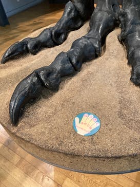 福井県立恐竜博物館に投稿された画像（2023/11/27）