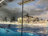 名古屋港水族館に投稿された画像（2023/11/28）