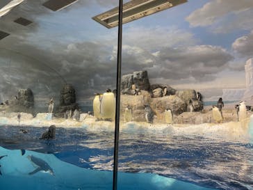 名古屋港水族館に投稿された画像（2023/11/27）