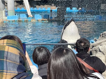 名古屋港水族館に投稿された画像（2023/11/27）