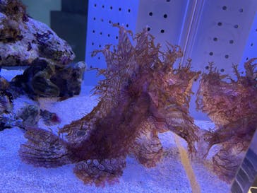 AOAO SAPPOROに投稿された画像（2023/11/27）