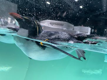 AOAO SAPPOROに投稿された画像（2023/11/27）