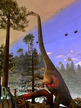 福井県立恐竜博物館に投稿された画像（2023/11/27）