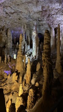 おきなわワールドに投稿された画像（2023/11/27）