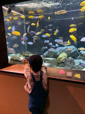 カワスイ 川崎⽔族館に投稿された画像（2023/11/27）