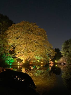 NAKED 紅葉の新宿御苑2023に投稿された画像（2023/11/27）