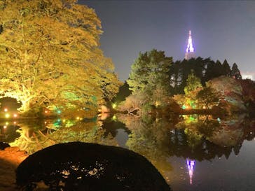 NAKED 紅葉の新宿御苑2023に投稿された画像（2023/11/27）