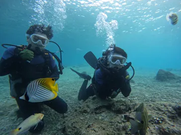 武藤潜水に投稿された画像（2023/11/28）