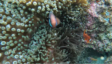 武藤潜水に投稿された画像（2023/11/28）