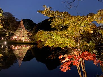 六義園に投稿された画像（2023/11/28）