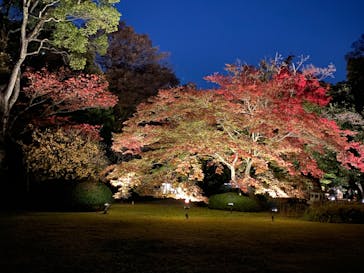 六義園に投稿された画像（2023/11/28）