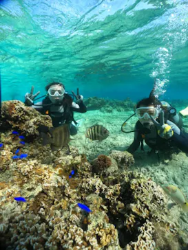 武藤潜水に投稿された画像（2023/11/28）