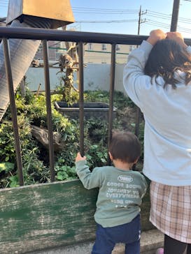 日立市かみね動物園に投稿された画像（2023/11/28）