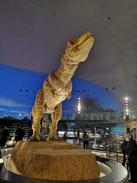 福井県立恐竜博物館に投稿された画像（2023/11/28）