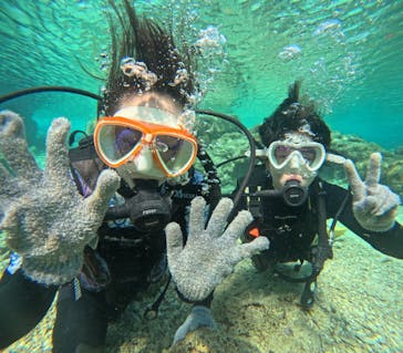 沖縄マリンサービス碧に投稿された画像（2023/11/28）