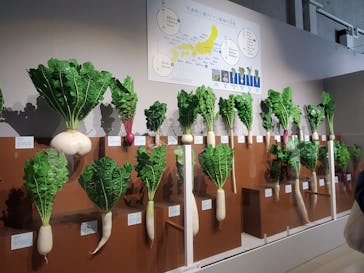 特別展「和食 ～日本の自然、人々の知恵～」に投稿された画像（2023/11/28）