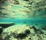 武藤潜水に投稿された画像（2023/11/28）