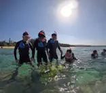 武藤潜水に投稿された画像（2023/11/28）