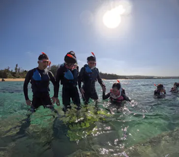 武藤潜水に投稿された画像（2023/11/28）