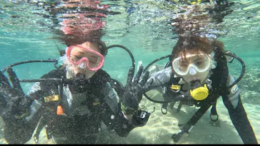 武藤潜水に投稿された画像（2023/11/28）