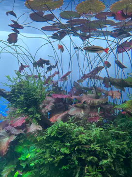 すみだ水族館に投稿された画像（2023/11/28）