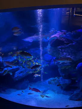 すみだ水族館に投稿された画像（2023/11/28）